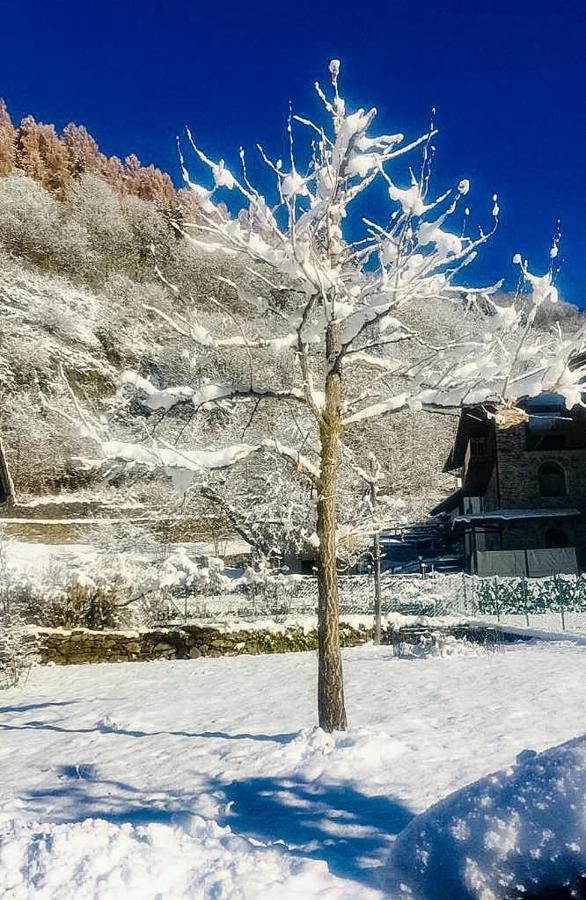 B&B Villa Paradiso 메차나 외부 사진
